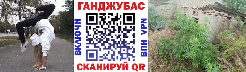 Гашиш Болхов