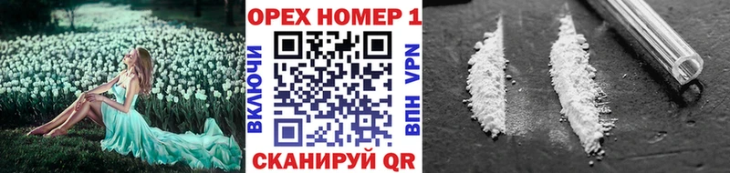 где купить наркоту  Болхов  Cocaine Fish Scale 