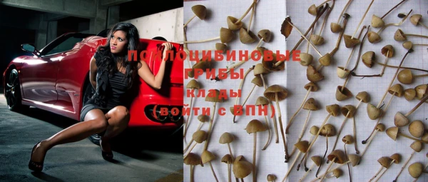 экстази Каменногорск