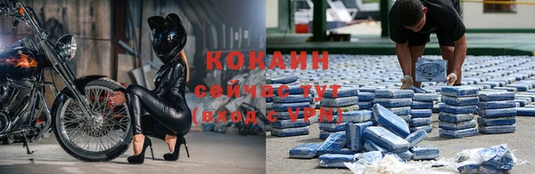 spice Беломорск
