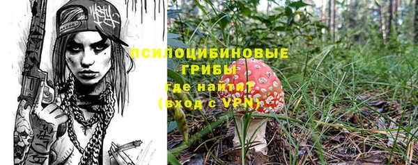 spice Беломорск