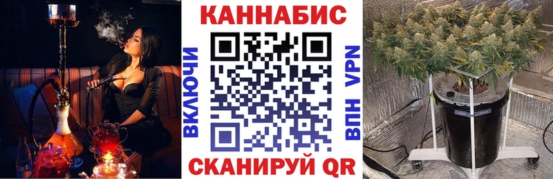что такое   Болхов  мега онион  Бошки марихуана OG Kush 